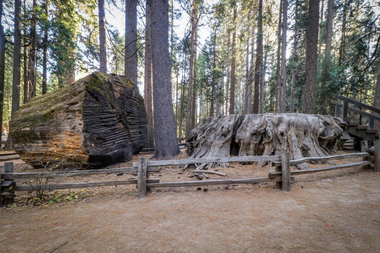 Villa Hikers Haven à Arnold Extérieur photo